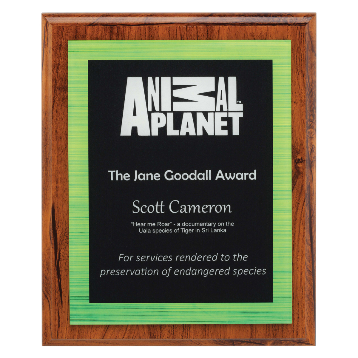 Vivid Green Plaque